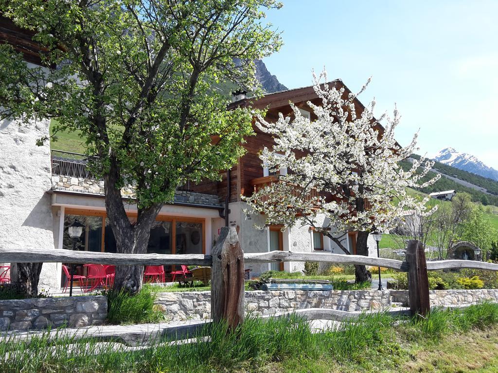 Agriturismo Raethia Isolaccia Exterior photo